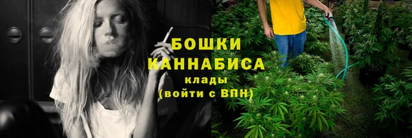 хмурый Горняк