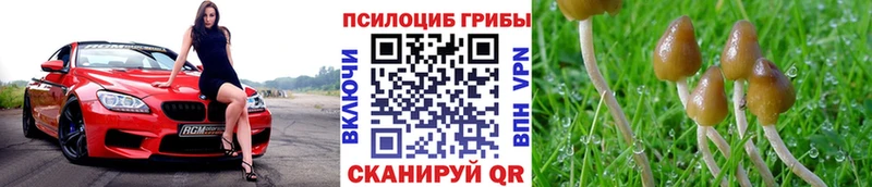 Псилоцибиновые грибы Magic Shrooms  KRAKEN сайт  Ершов 